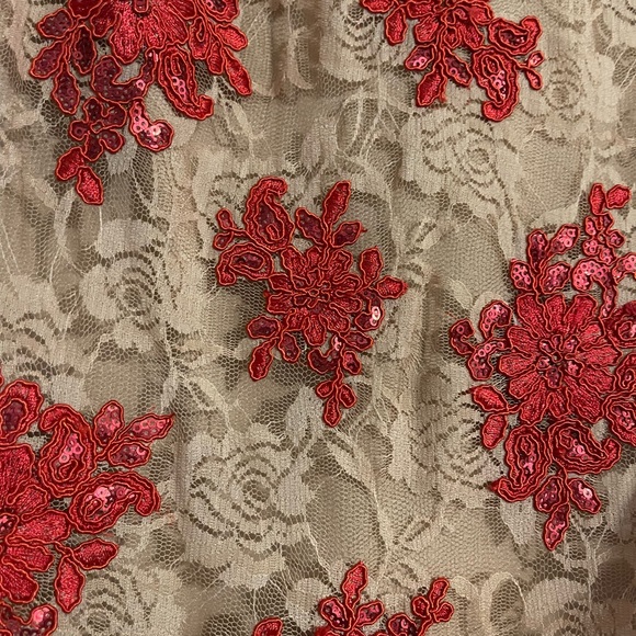 Gorgeous Dress the Population Melody Shift Lace & Red Sequin Dress - Picture 4 of 6